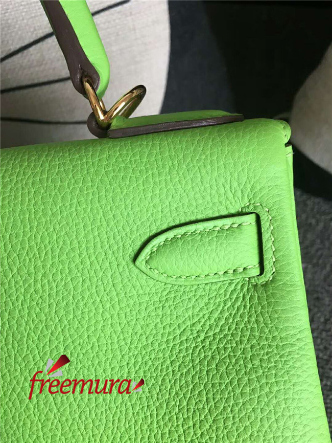 d94c13e17f594739145385b4b2b0e393_1517561581_7385.jpg d94c13e17f594739145385b4b2b0e393_1517561581_7385.jpg