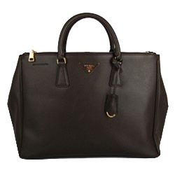 프라다 BN1786 브라운 A59