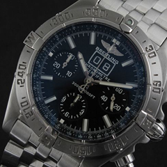 블랙버드 퍼펙트버젼 01