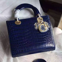 크리스찬디올 레이디디올백 미듐 와니