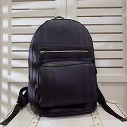 버버리   갠버스 백팩