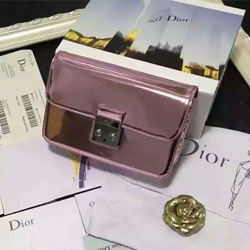  크리스찬디올  신상 가방