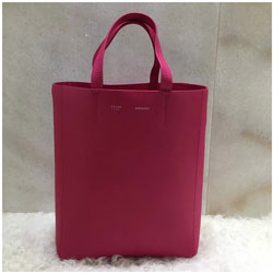 셀린느 신상 트위스트 카바스백