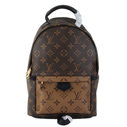 루이비통 백팩 N43116