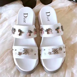 크리스찬디올  슈즈