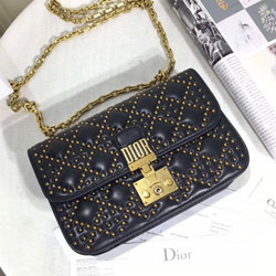 크리스찬 디올 신상백 DR-0111