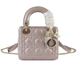 크리스찬디올 토드백 17cm DO-20181239