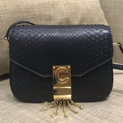 셀린느 크로스백 188504