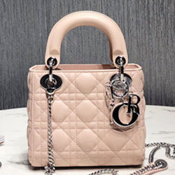 크리스찬디올 토드백 17cm DR-190820