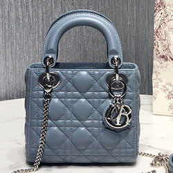 크리스찬디올 토드백 17cm DR-190820