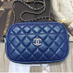 샤넬 카메라 케이스 AS200302