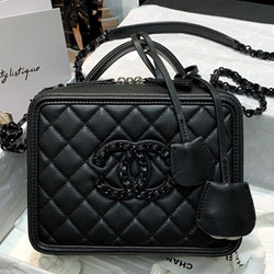 샤넬 카메라 케이스 21cm 201014