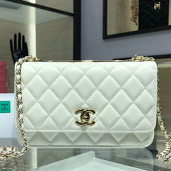 샤넬 WOC백 19cm AS4456