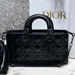 크리스찬디올 토드백 DR0540